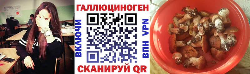 Галлюциногенные грибы GOLDEN TEACHER  купить наркотики сайты  Пермь 